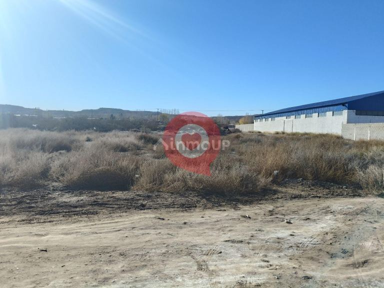 Neuquen Trenque Lauquen y Pergamino S/N