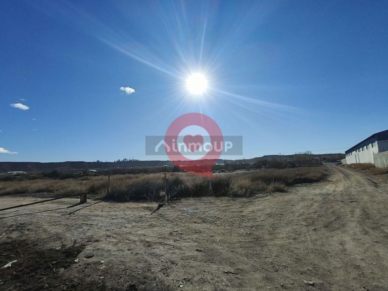 Neuquen Trenque Lauquen y Pergamino S/N