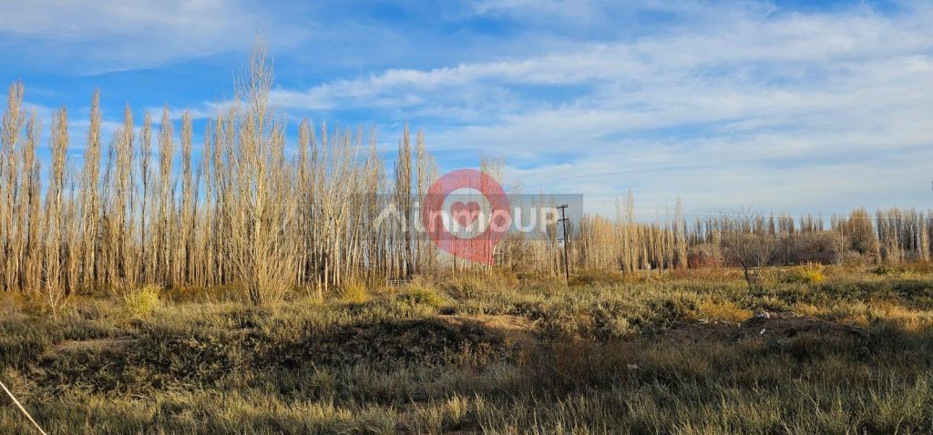 Terreno en Alquiler en Neuquen, Neuquen - USD 5.000 | Inmoup - 9