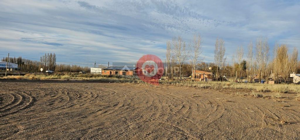 Terreno en Alquiler en Neuquen, Neuquen - USD 5.000 | Inmoup - 10