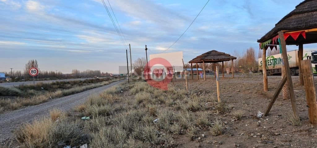 Terreno en Alquiler en Neuquen, Neuquen - USD 5.000 | Inmoup - 16