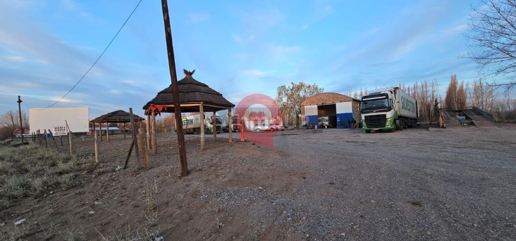 Terreno en Alquiler en Neuquen, Neuquen - USD 5.000 | Inmoup - 14