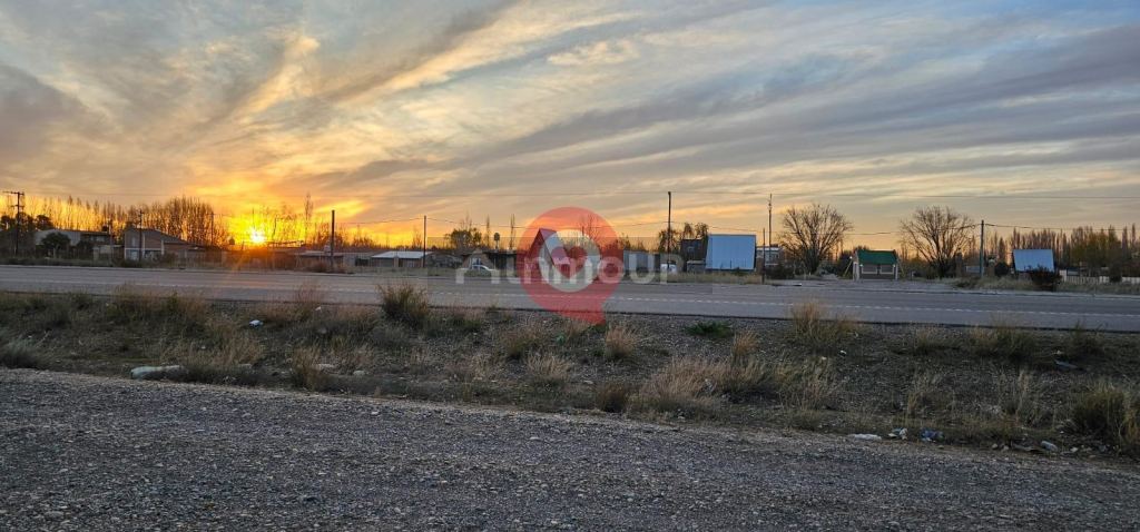 Terreno en Alquiler en Neuquen, Neuquen - USD 5.000 | Inmoup - 13