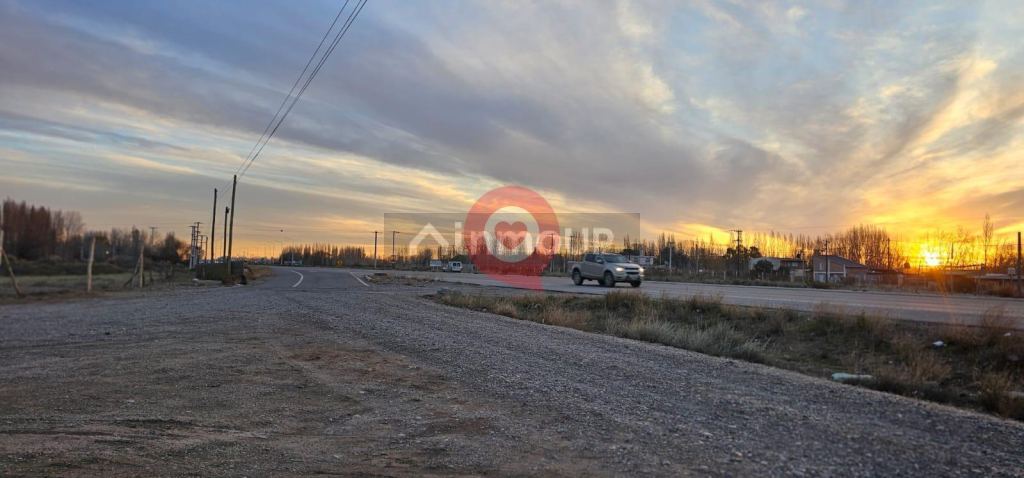 Terreno en Alquiler en Neuquen, Neuquen - USD 5.000 | Inmoup - 17