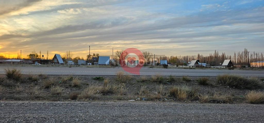Terreno en Alquiler en Neuquen, Neuquen - USD 5.000 | Inmoup - 15