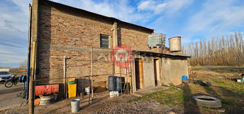 Terreno en Alquiler en Neuquen, Neuquen - USD 5.000 | Inmoup - 31