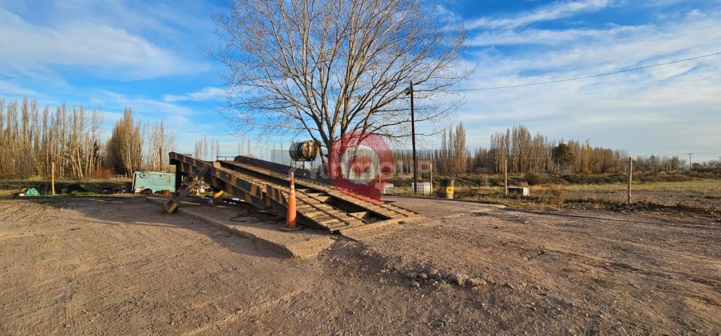 Terreno en Alquiler en Neuquen, Neuquen - USD 5.000 | Inmoup - 29