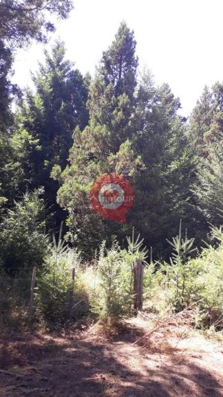 San Carlos de Bariloche El Bolson
