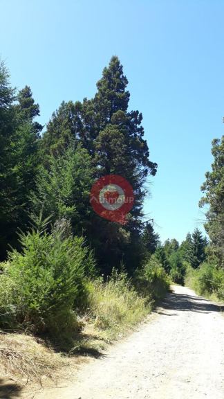 San Carlos de Bariloche El Bolson