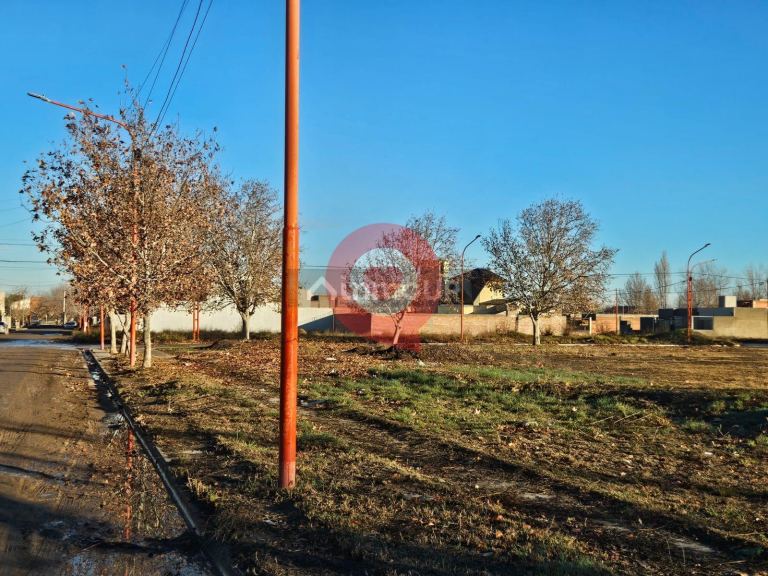 Terreno en Venta en Cipolletti, Rio Negro
