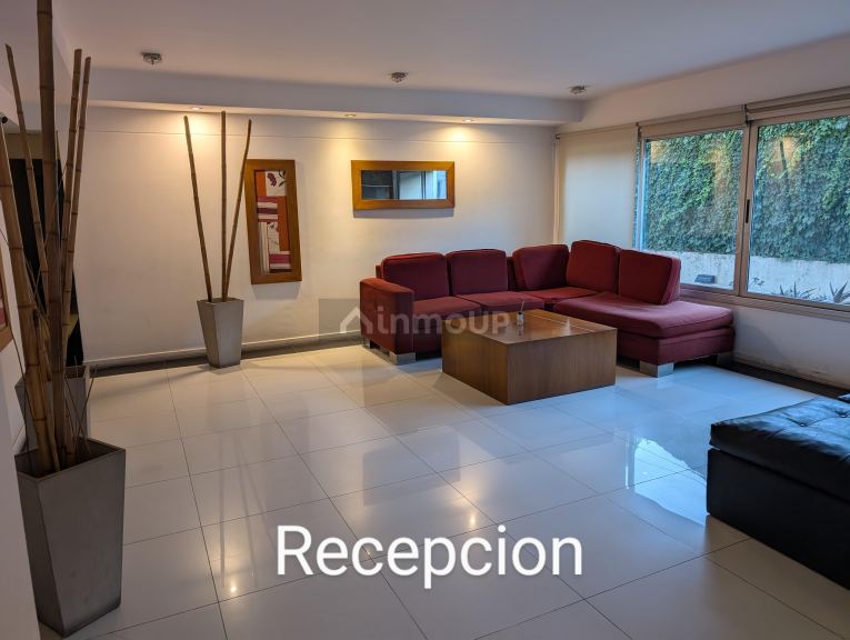 Departamento en Alquiler en Capital, Mendoza