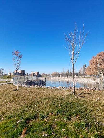 Lote en Venta en Lujan de Cuyo, Mendoza