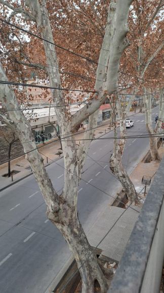 Departamento en Venta en Capital, Mendoza