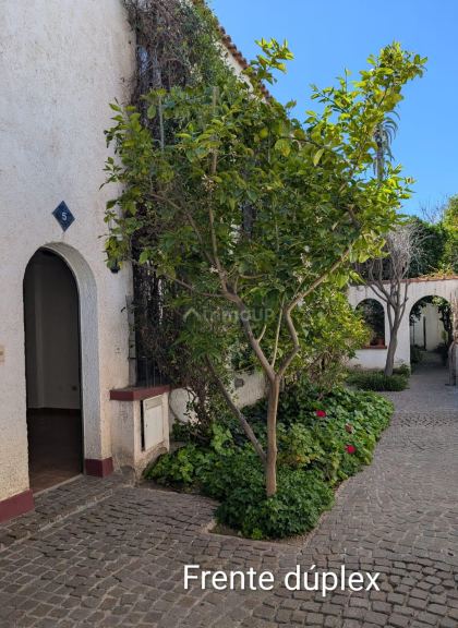 Duplex en Alquiler en Godoy Cruz, Mendoza