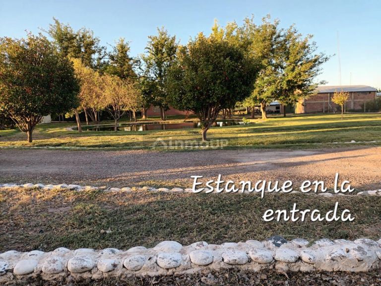 Casa en Alquiler en Maipu, Mendoza
