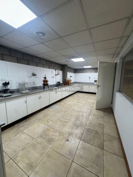 Local Comercial en Alquiler en Godoy Cruz, Mendoza