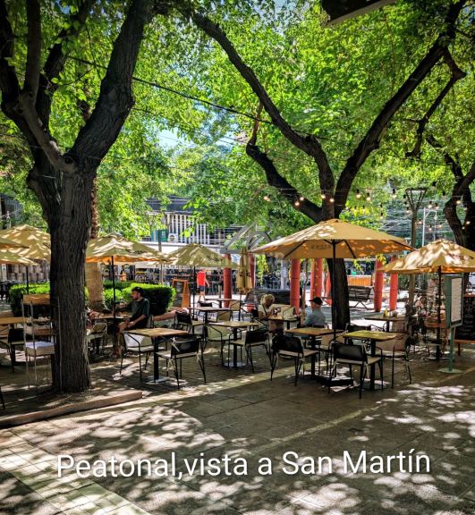 Departamento en Alquiler en Capital, Mendoza