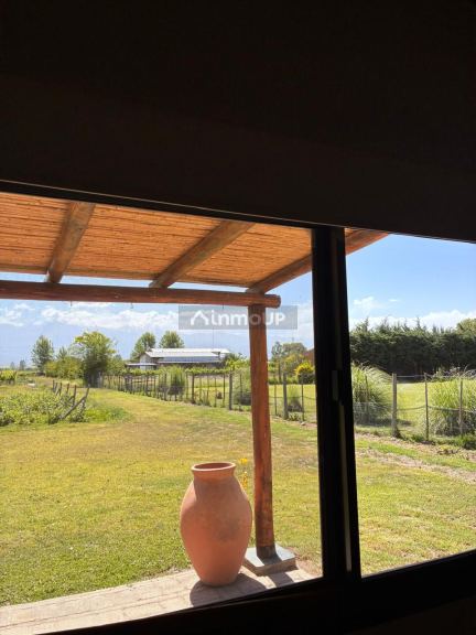 Finca en Venta en Tunuyan, Mendoza