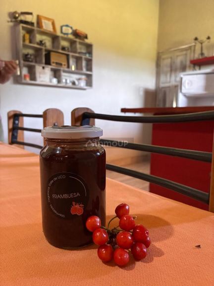 Finca en Venta en Tunuyan, Mendoza