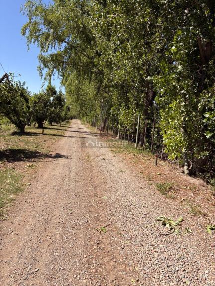 Finca en Venta en Tunuyan, Mendoza
