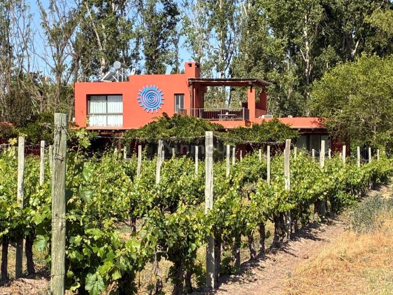 Finca en Venta en Tunuyan, Mendoza