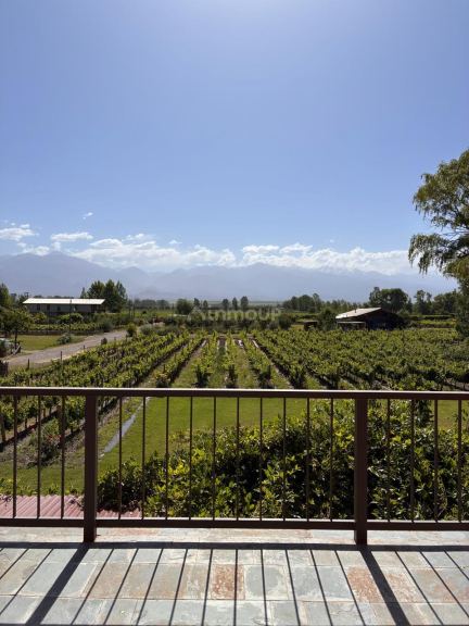 Finca en Venta en Tunuyan, Mendoza