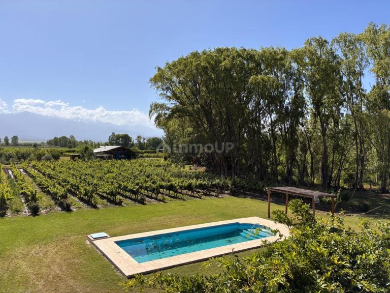 Finca en Venta en Tunuyan, Mendoza