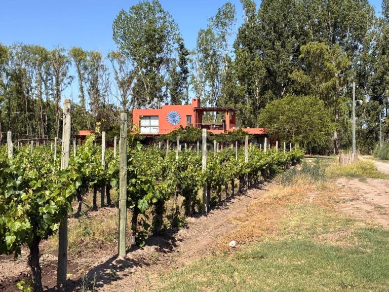 Finca en Venta en Tunuyan, Mendoza