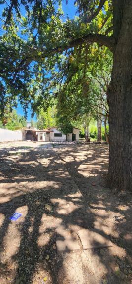 Casa en Alquiler en Lujan de Cuyo, Mendoza