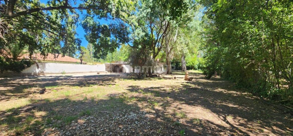 Casa en Alquiler en Lujan de Cuyo, Mendoza