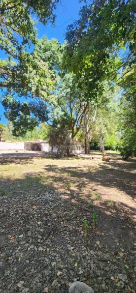 Casa en Alquiler en Lujan de Cuyo, Mendoza