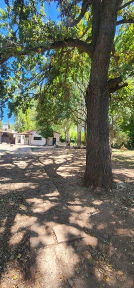 Casa en Alquiler en Lujan de Cuyo, Mendoza