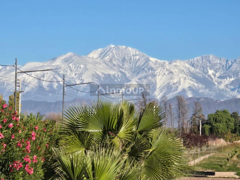 Lote en Venta en Maipu, Mendoza
