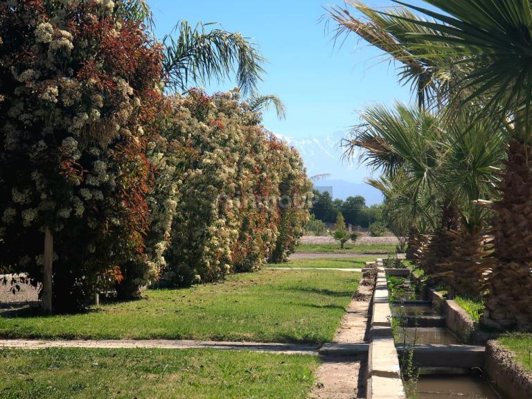 Lote en Venta en Maipu, Mendoza