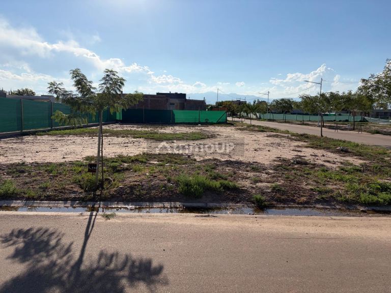 Lote en Venta en Lujan de Cuyo, Mendoza