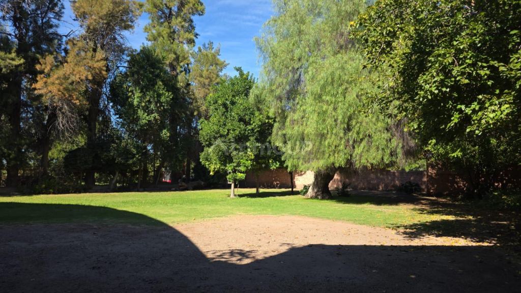 Local Comercial en Alquiler en Maipu, Mendoza