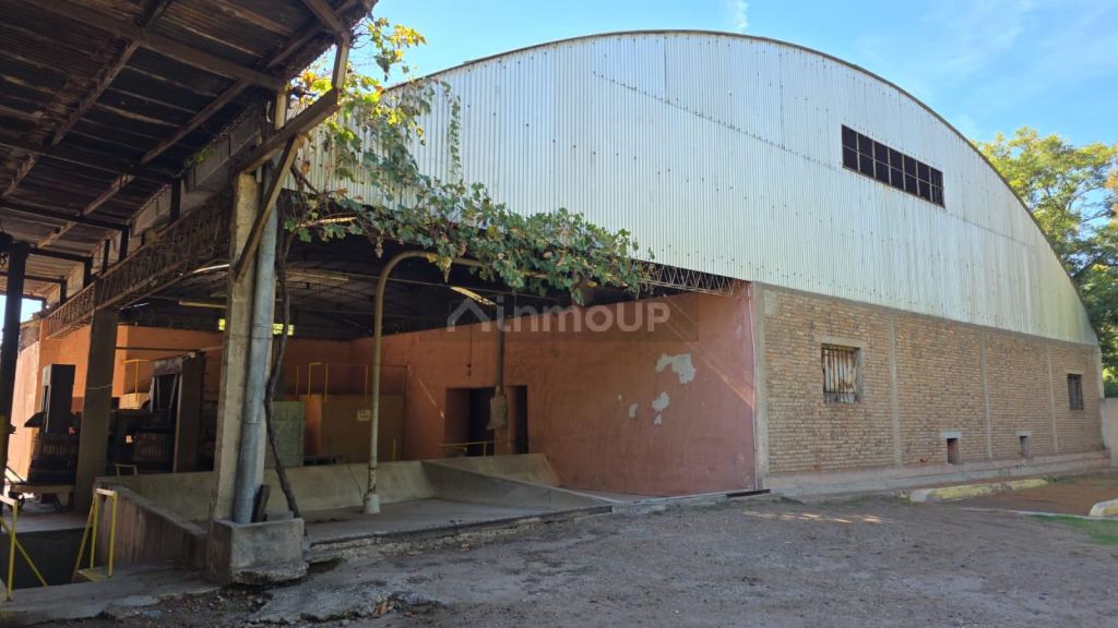 Local Comercial en Alquiler en Maipu, Mendoza