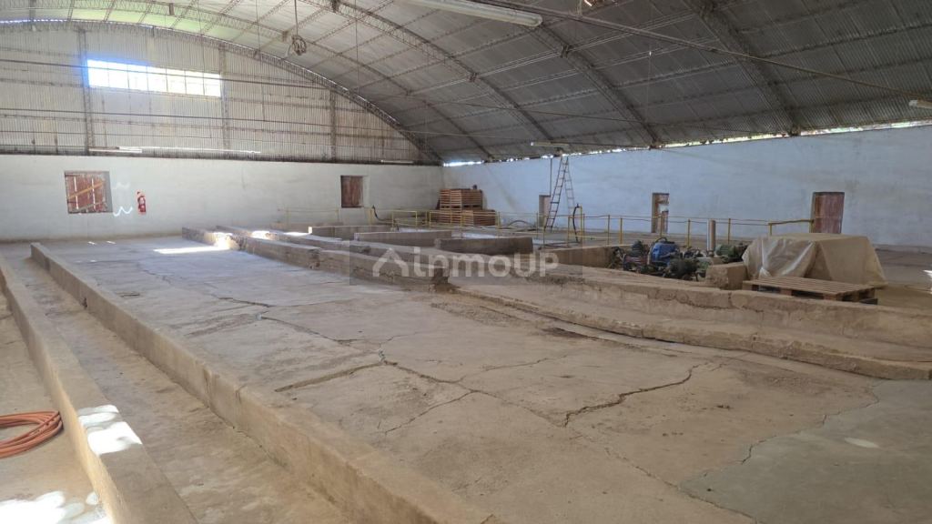 Local Comercial en Alquiler en Maipu, Mendoza