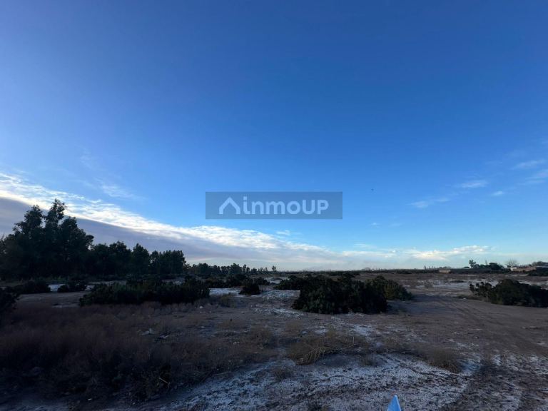 Lote en Venta en Maipu, Mendoza