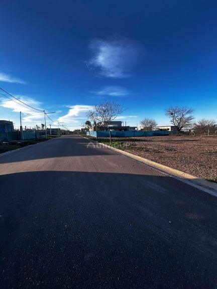 Lote en Venta en Lujan de Cuyo, Mendoza
