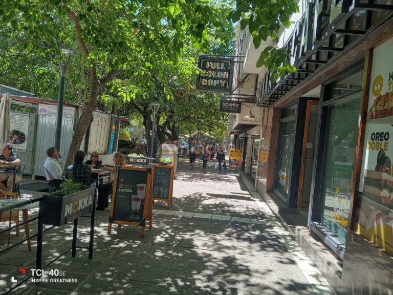Local Comercial en Alquiler en Capital, Mendoza