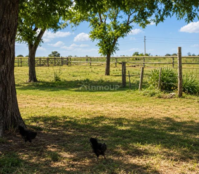Campo en Venta en Villa Mercedes, San Luis