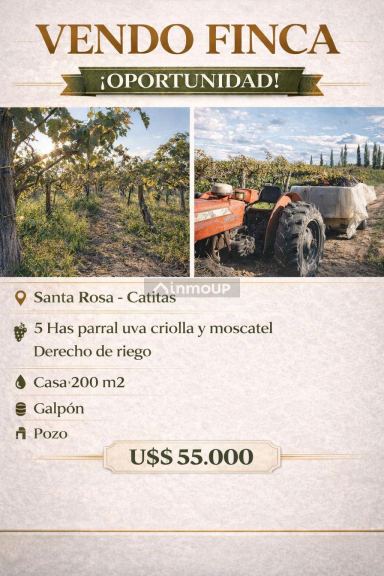 Finca en Venta en Santa Rosa, Mendoza