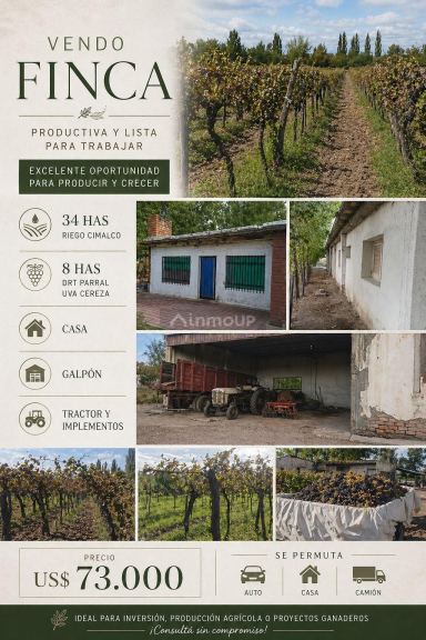 Finca en Venta en Santa Rosa, Mendoza