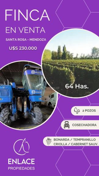 Finca en Venta en Santa Rosa, Mendoza