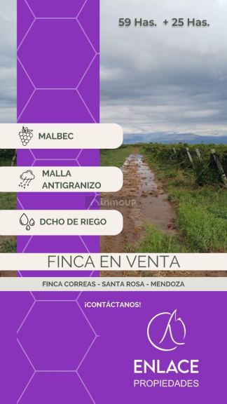 Finca en Venta en Santa Rosa, Mendoza
