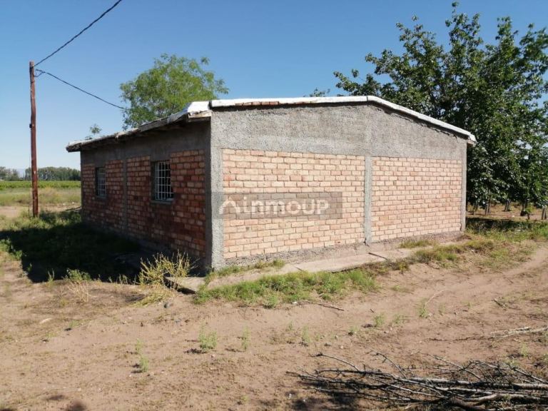 Finca en Venta en San Martin, Mendoza