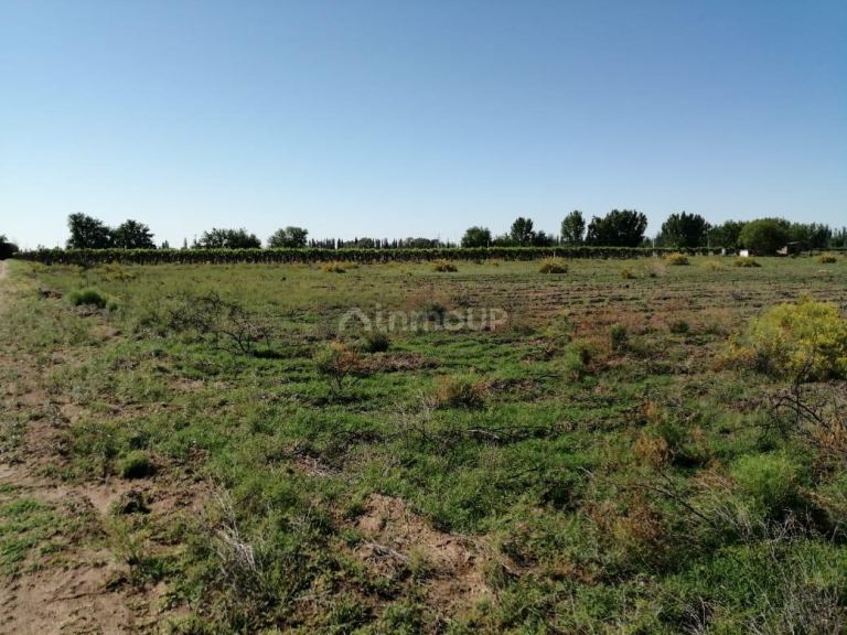 Finca en Venta en San Martin, Mendoza