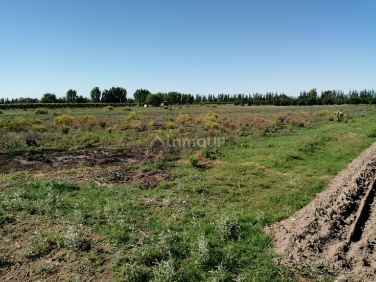 Finca en Venta en San Martin, Mendoza