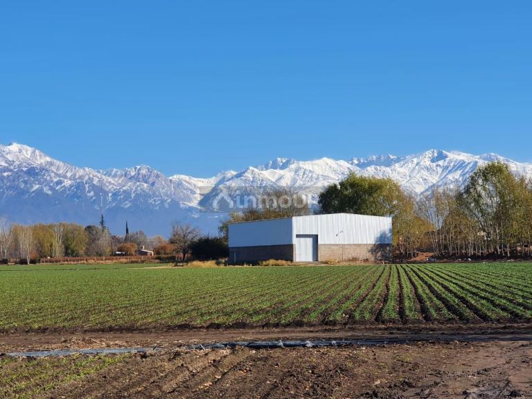 Galpon en Alquiler en Tunuyan, Mendoza